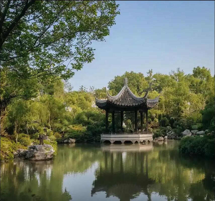 朝阳离开餐饮有限公司